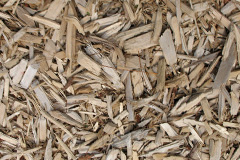 biomass boilers Coombeswood